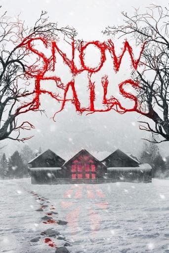 Snow Falls Image