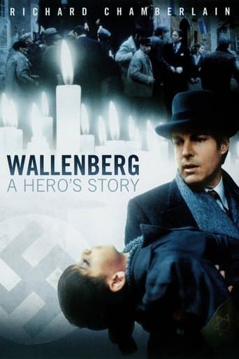 Wallenberg: A Hero's Story Image