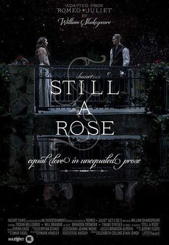 Still a Rose Image