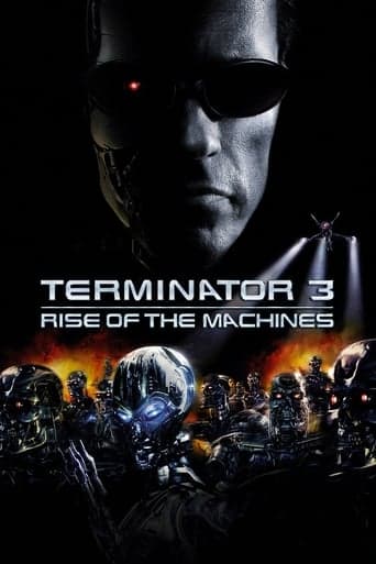 Terminator 3: Rise of the Machines Image