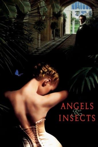 Angels and Insects Image