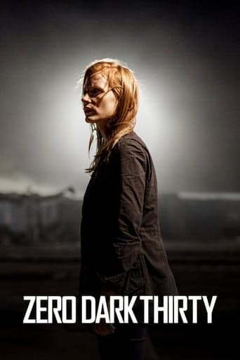 Zero Dark Thirty Image