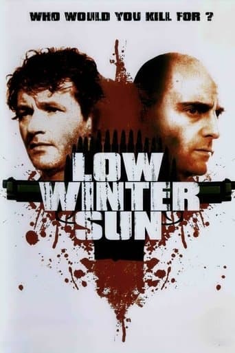 Low Winter Sun Image