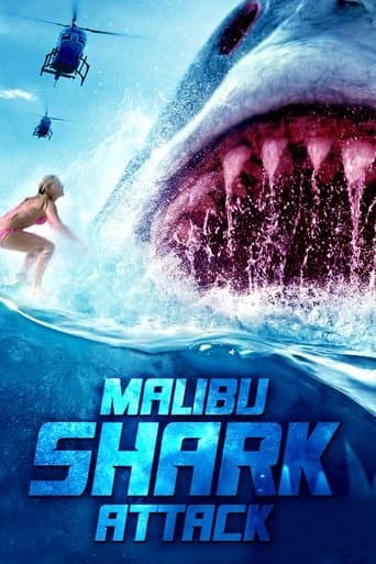 Malibu Shark Attack Image