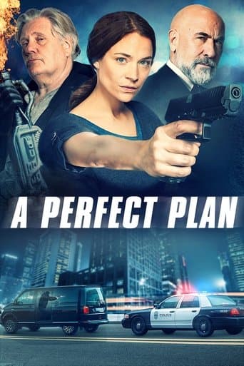 A Perfect Plan Image