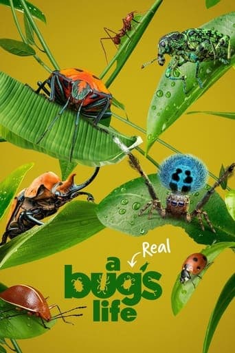 A Real Bug's Life Image