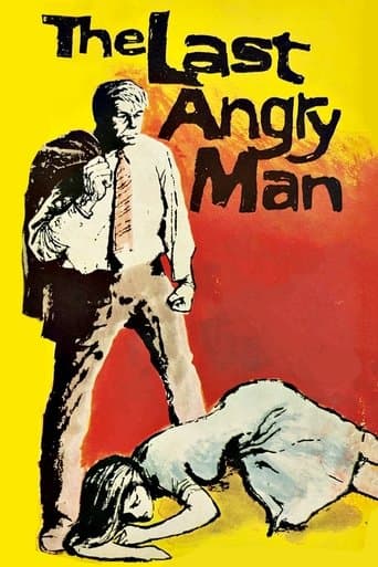 The Last Angry Man Image