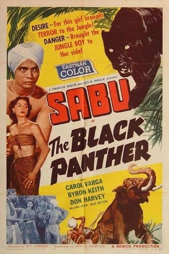 The Black Panther Image