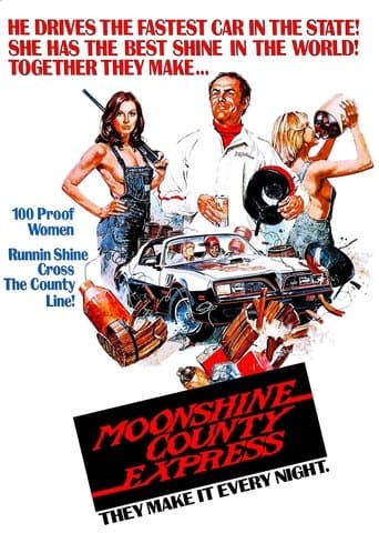 Moonshine County Express Image