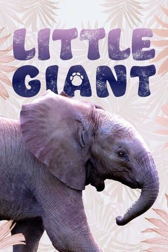Little Giant Image