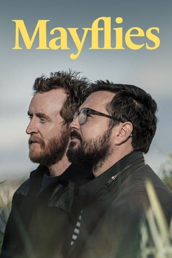 Mayflies Image