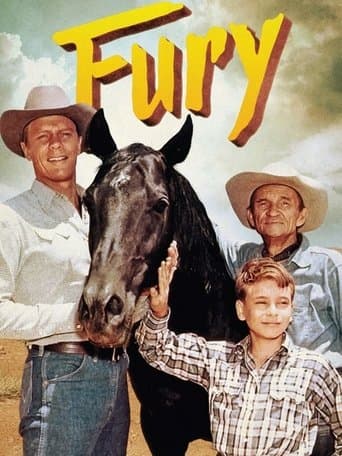 Fury Image