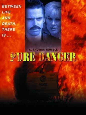 Pure Danger Image
