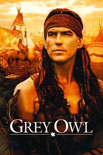 Grey Owl Image