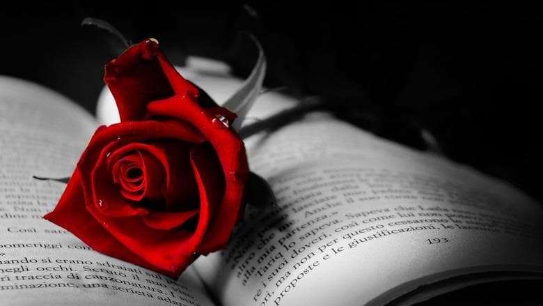 Red Rose Image