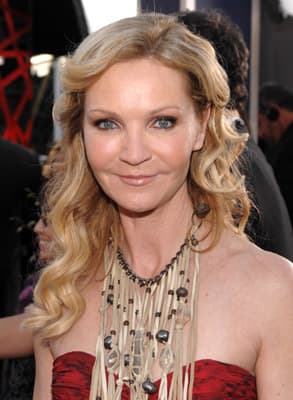 Joan Allen image