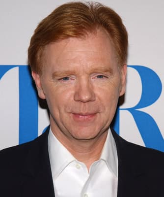 David Caruso image