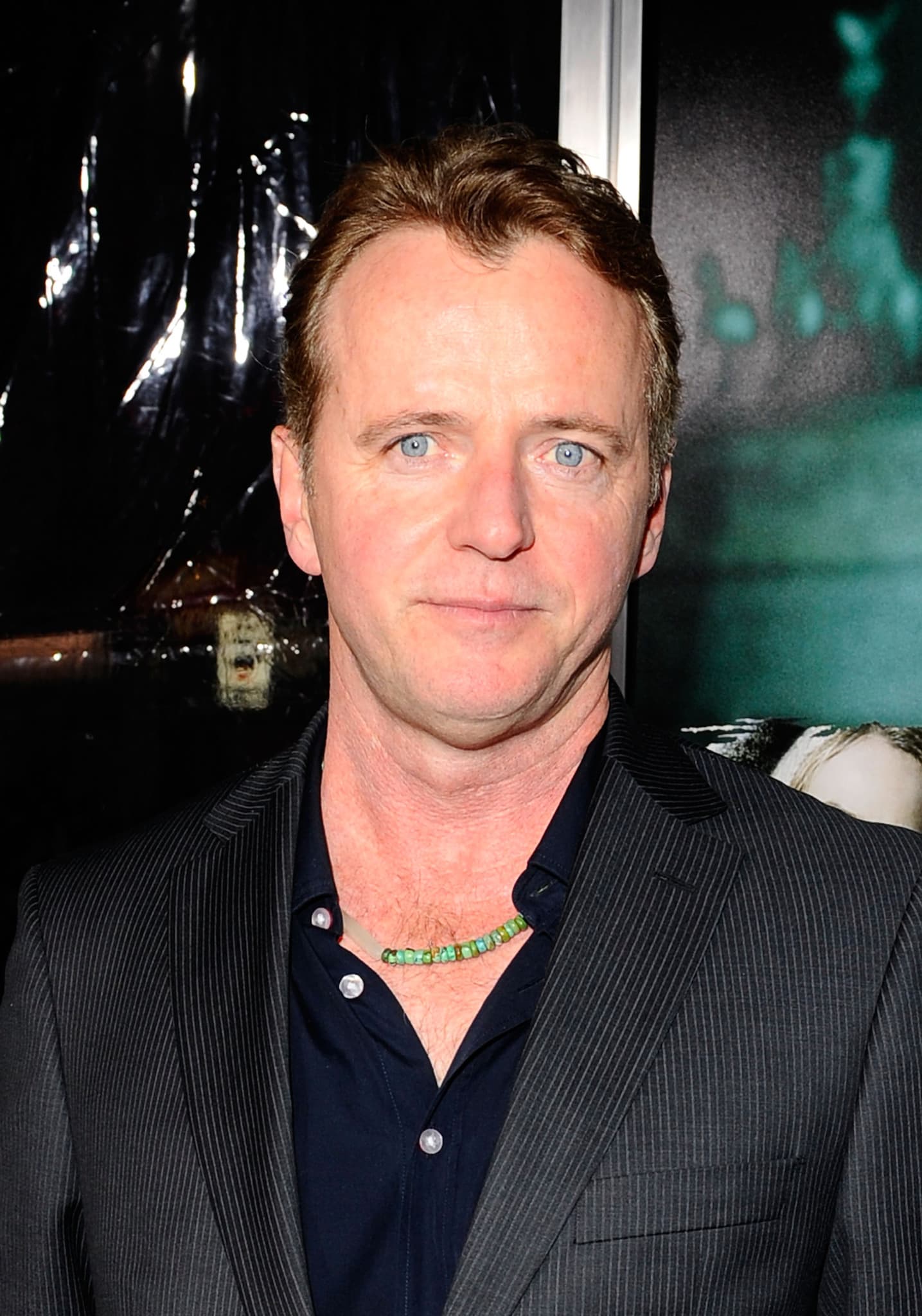 Aidan Quinn image