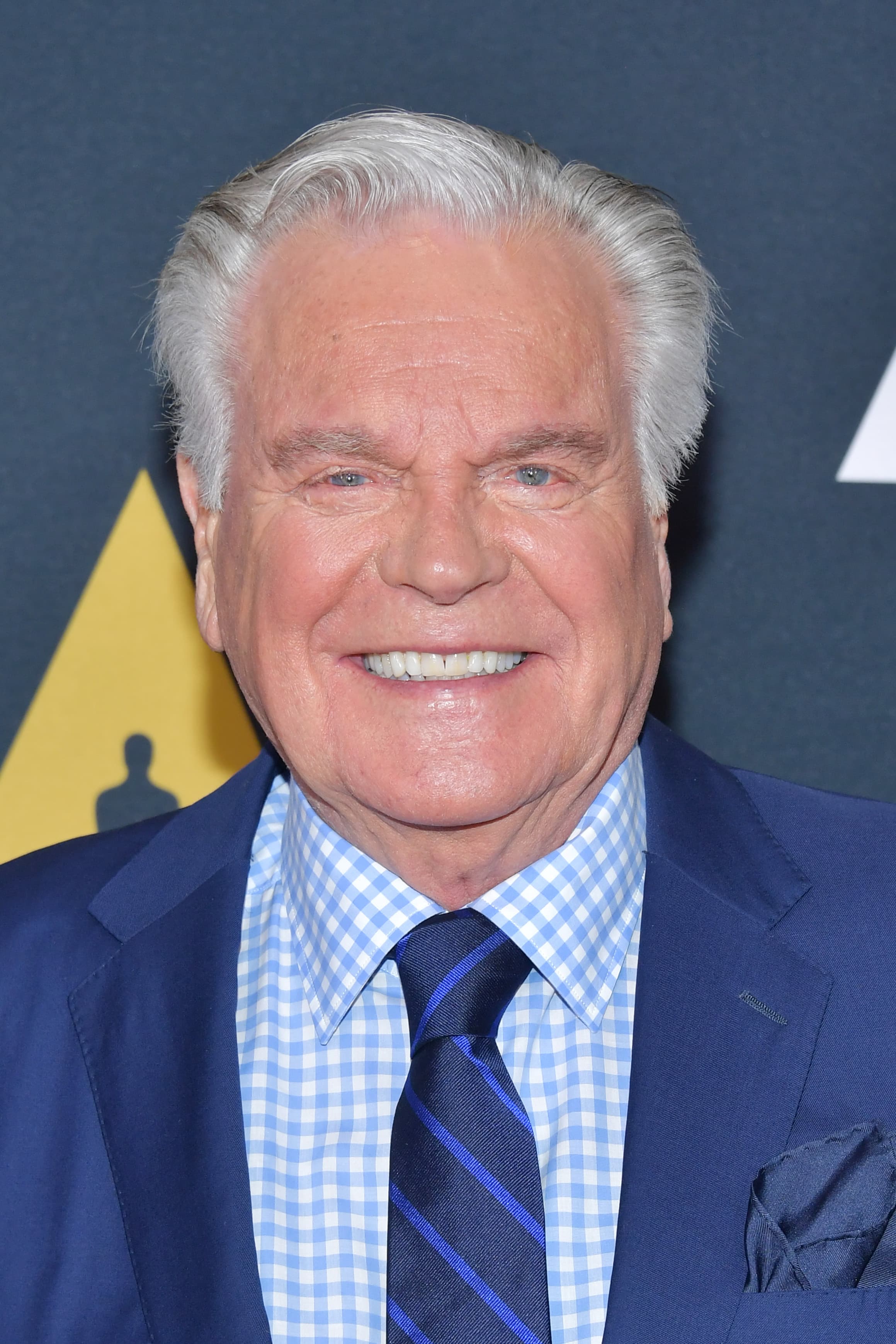 Robert Wagner image