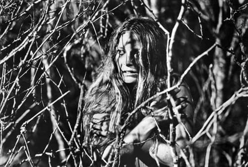 Marilyn Burns image