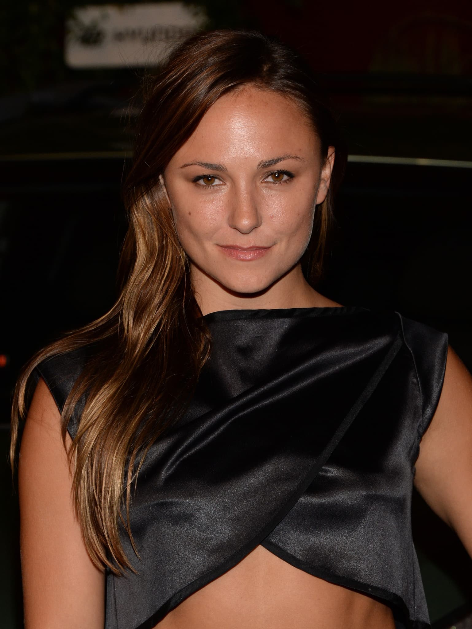 Briana Evigan image