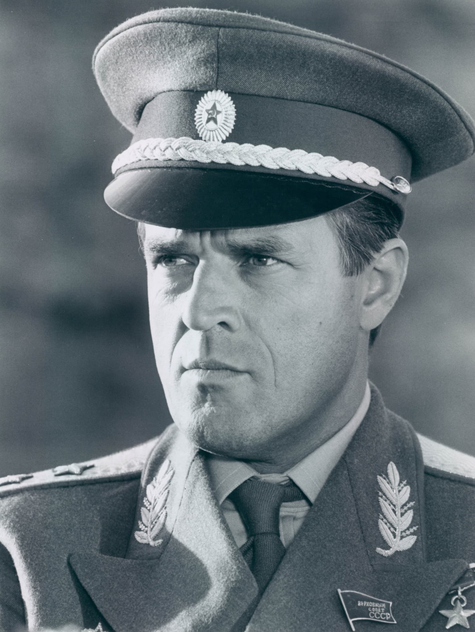 Jeroen Krabbé image