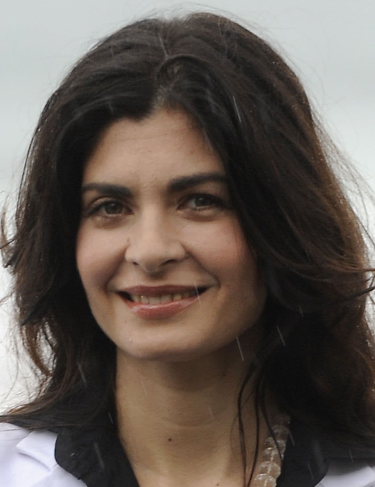 Soledad Villamil image