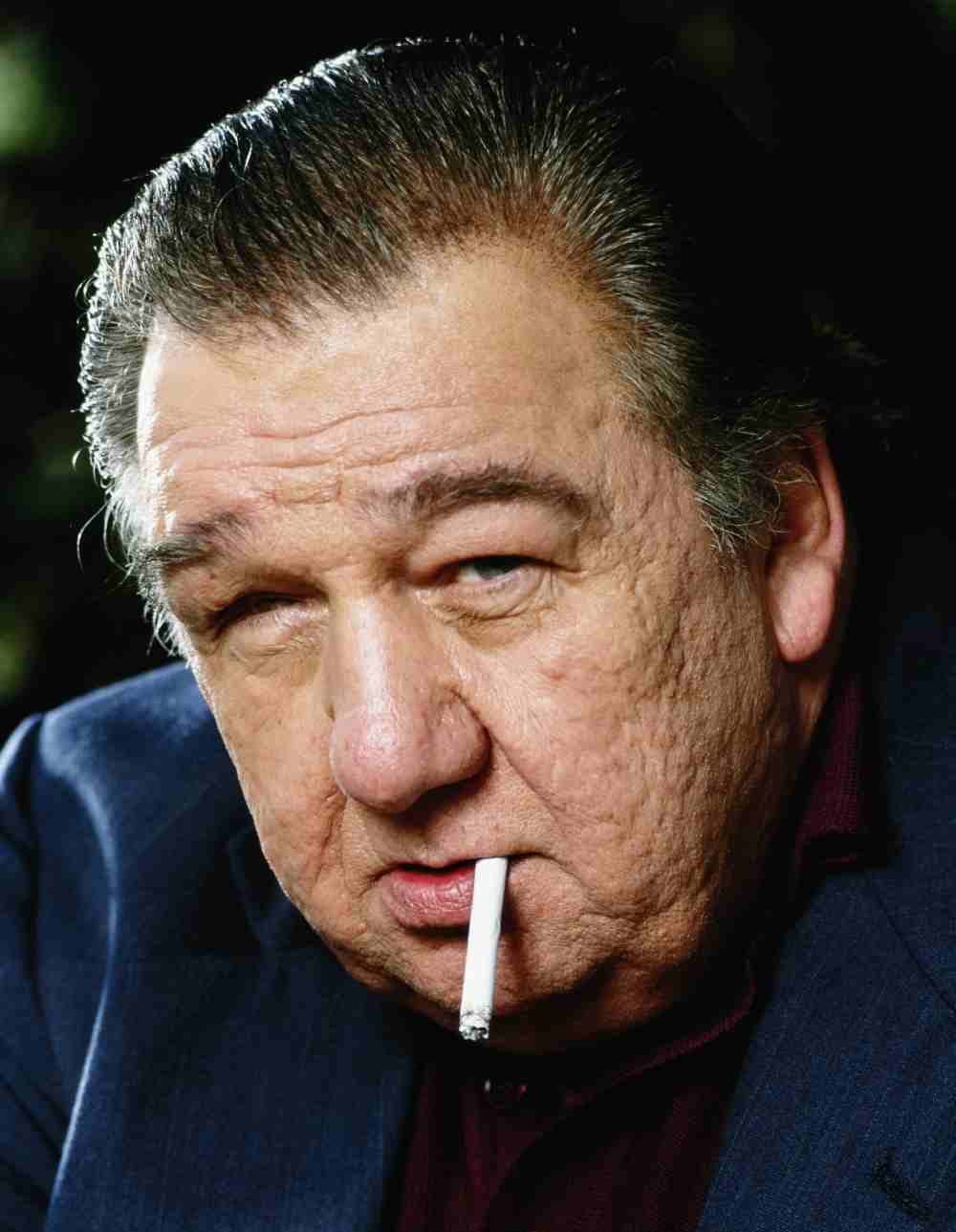 Joe Viterelli image