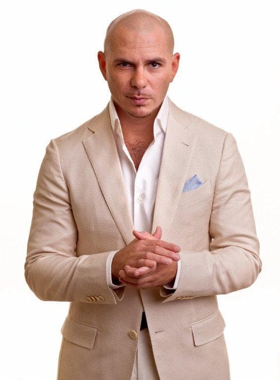 Pitbull image