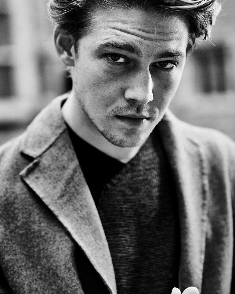 Joe Alwyn image