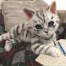Diceyy Chaf Avatar