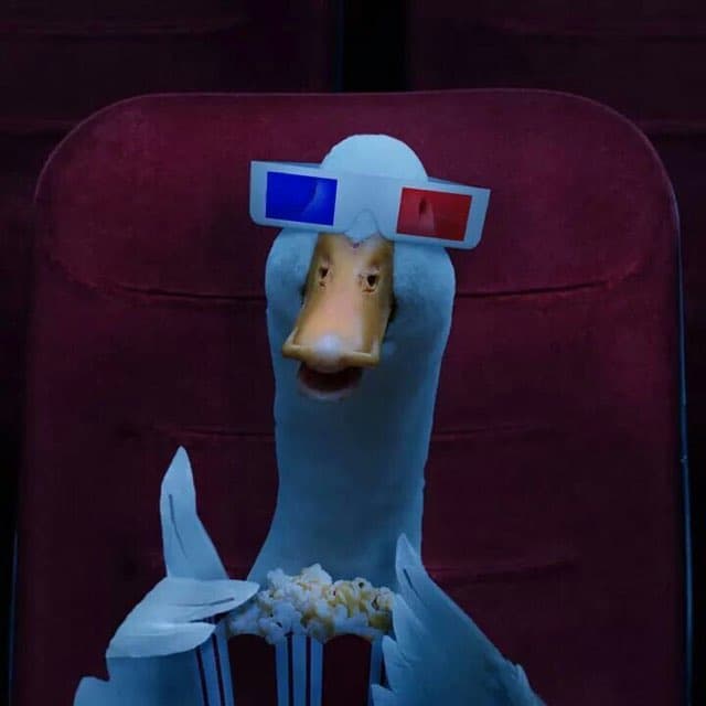 DuckReviews  Avatar