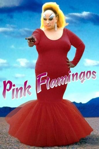 Pink Flamingos Image
