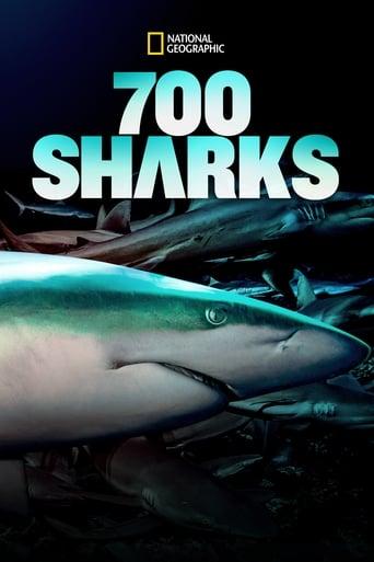 700 Sharks Image