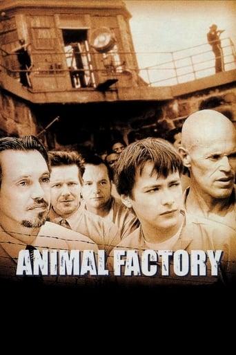 Animal Factory Image