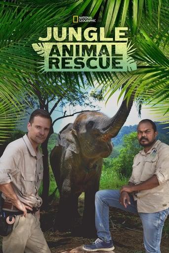Jungle Animal Rescue Image