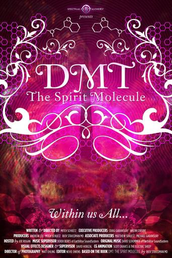 DMT: The Spirit Molecule Image