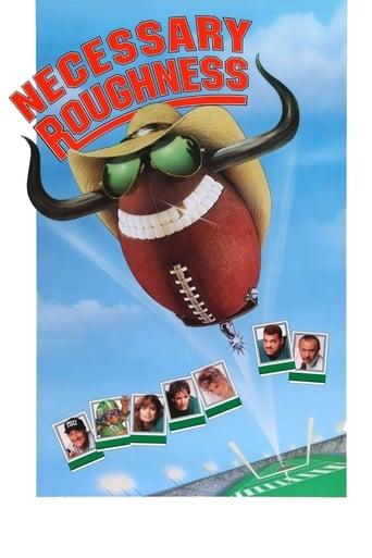 Necessary Roughness Image