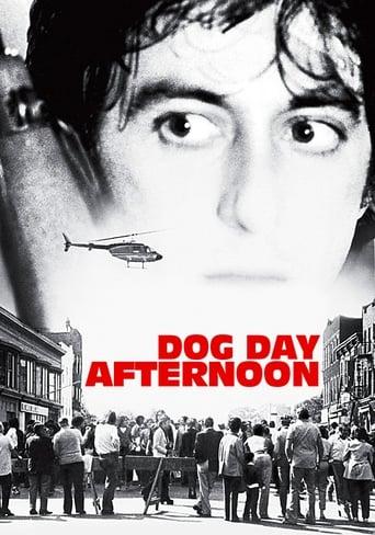 Dog Day Afternoon Image