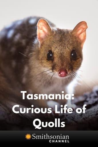Tasmania: Curious Life of Quolls Image