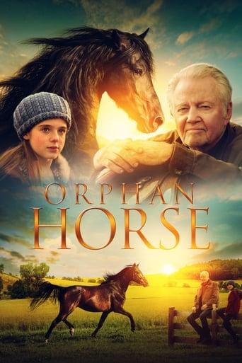 Orphan Horse Image
