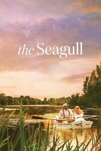 The Seagull Image