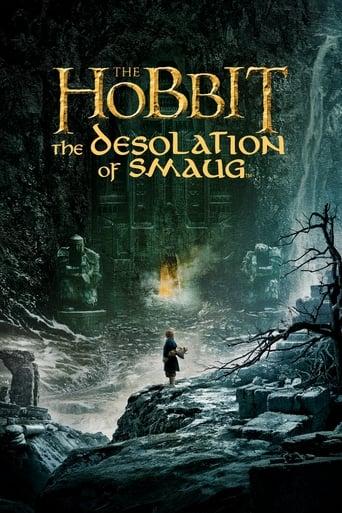 The Hobbit: The Desolation of Smaug Image