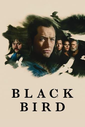 Black Bird Image
