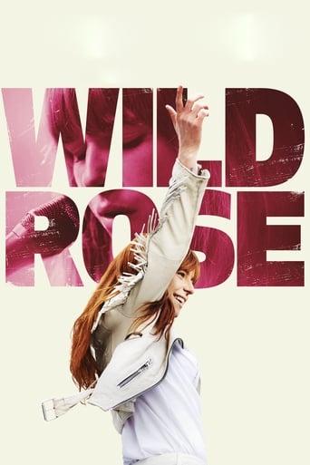 Wild Rose Image