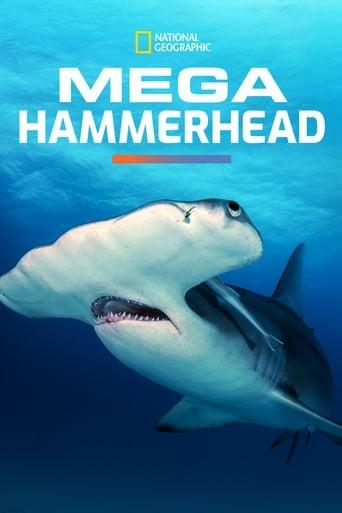 Mega Hammerhead Image