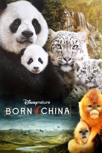 Born in China Image