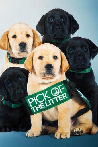 Pick of the Litter Image