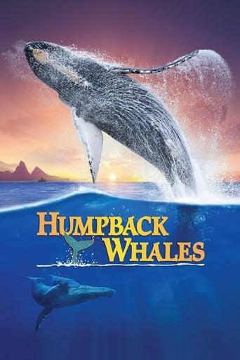 Humpback Whales Image