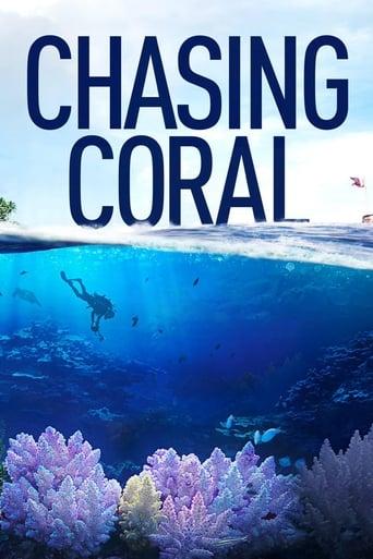 Chasing Coral Image